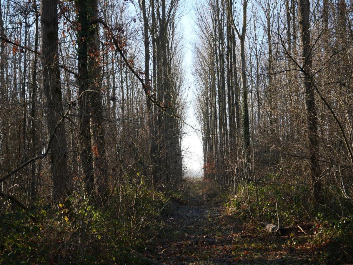 La Cabane Du Chasseur Flines-Les-Mortagne Luaran gambar
