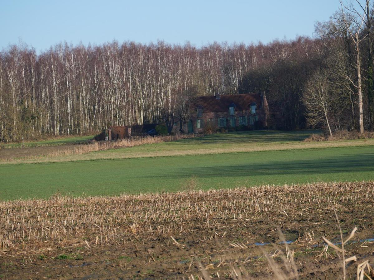 La Cabane Du Chasseur Flines-Les-Mortagne Luaran gambar