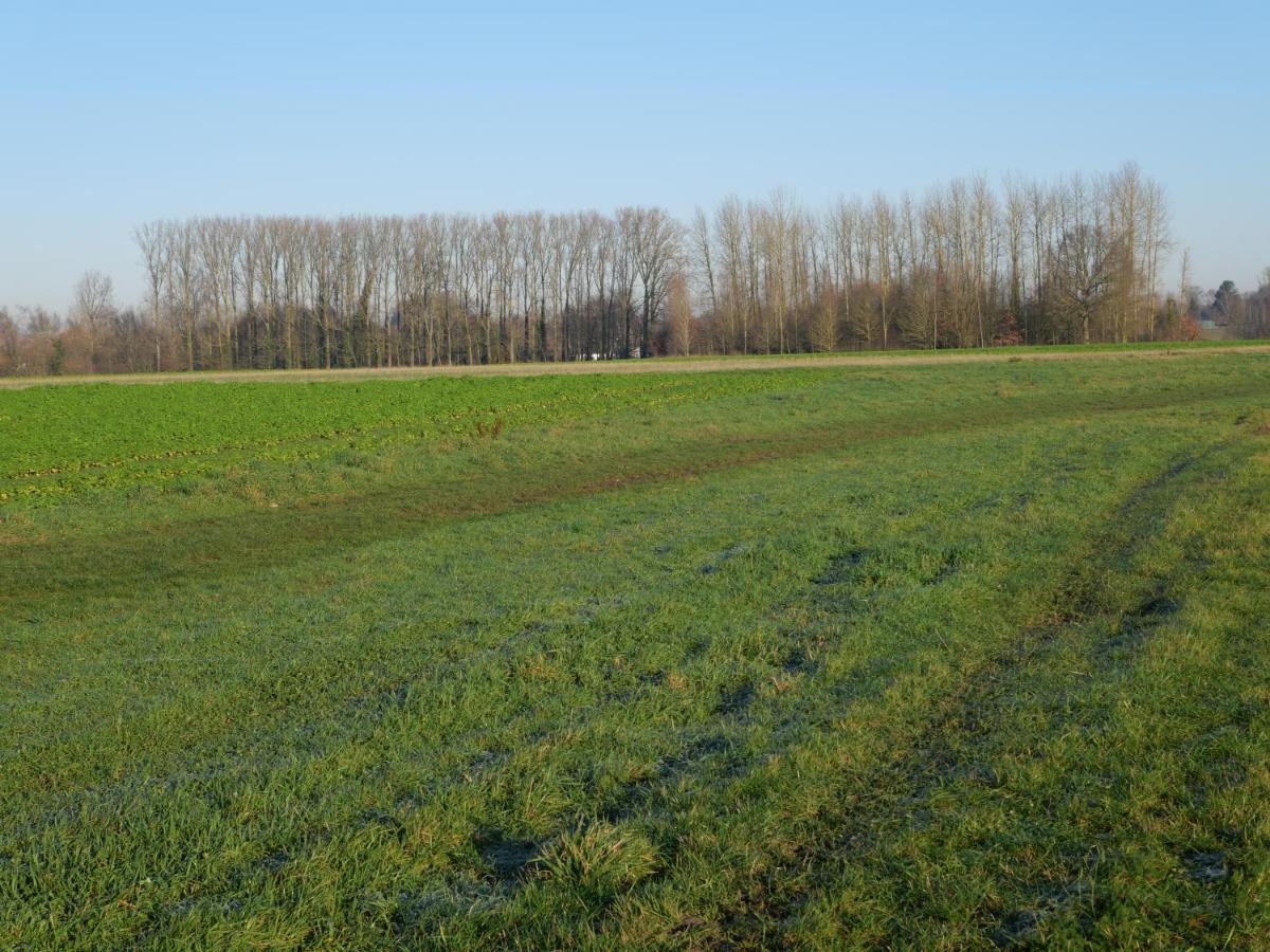 La Cabane Du Chasseur Flines-Les-Mortagne Luaran gambar