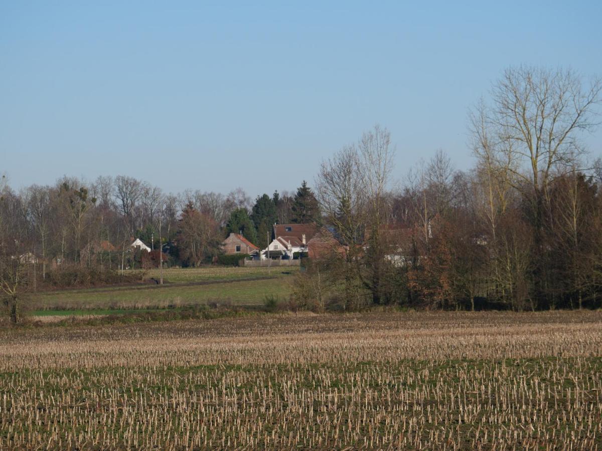 La Cabane Du Chasseur Flines-Les-Mortagne Luaran gambar